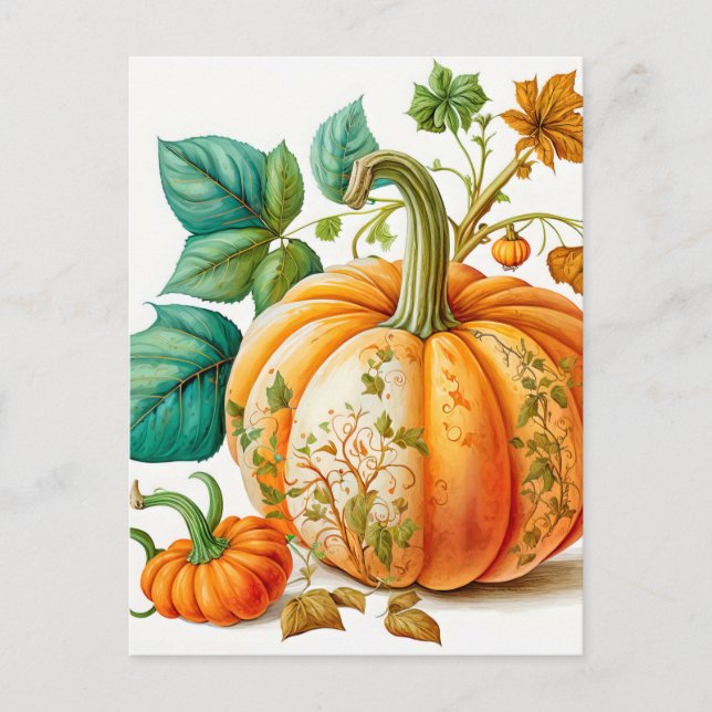 Freshly Picked Autumn Harvested Pumpkin Postcard (Front)