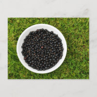 Freshly Picked Blackcurrants