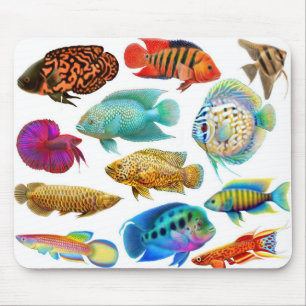 Freshwater Aquarium Fish Mousepad