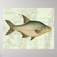 Freshwater Fish on Map