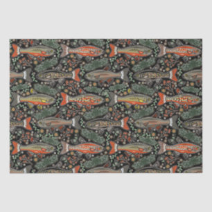 Freshwater Fish, Stylish Design, Trout, Fishing Tissue Paper