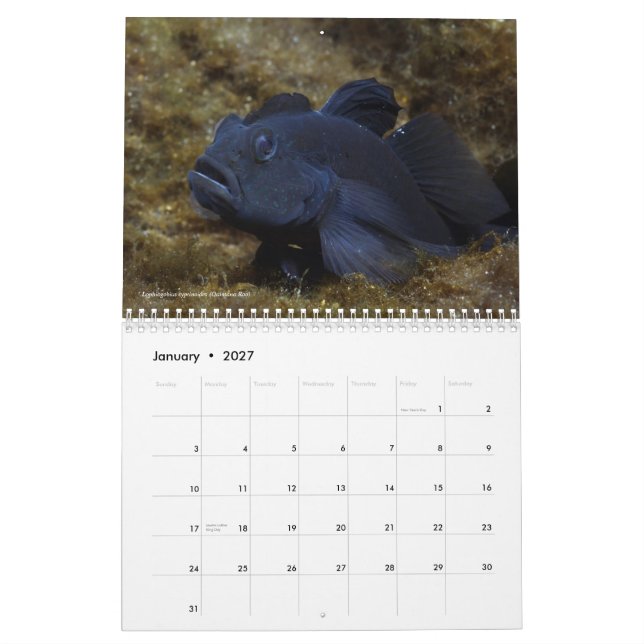 Freshwater Fishes of Mexico 2011 Calendar (Jan 2027)