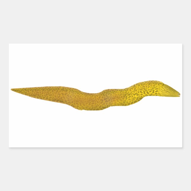 Freshwater Moray Rectangular Sticker (Front)