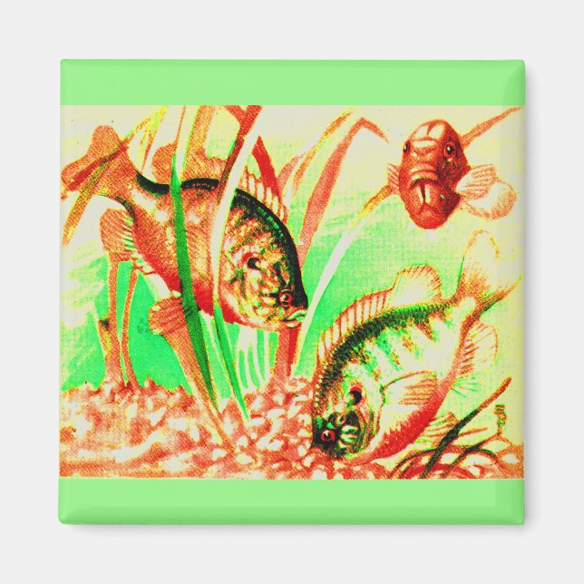 freshwater sunfish magnet (Front)