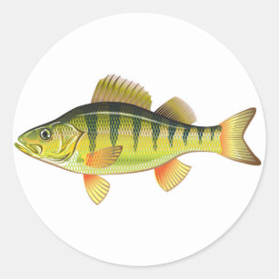 Fish Vector Stickers - 20 Results
