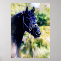 Fresian Horse Digital Art