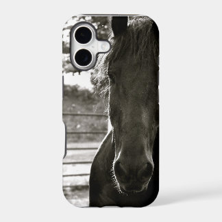 Fresian Horse IPhone Case