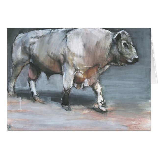 Fresno Galloway Bull (Front Horizontal)