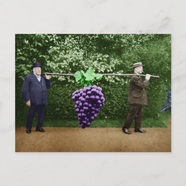 Friar Park Postcard #17 (Front)