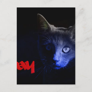 friday the 13th postcard