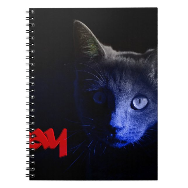 friday the 13th spiral notebook (Front)