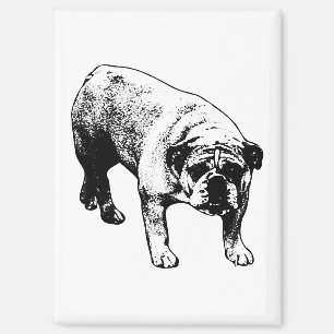 Fridge Cheer Bulldog Magnet