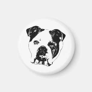 Fridge Focus Bulldog Magnet
