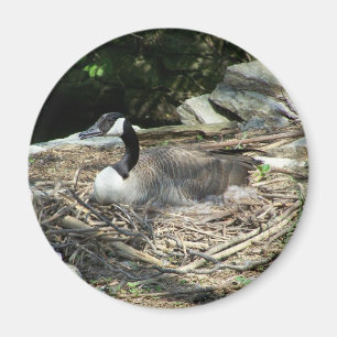 'Fridge Goose Magnet