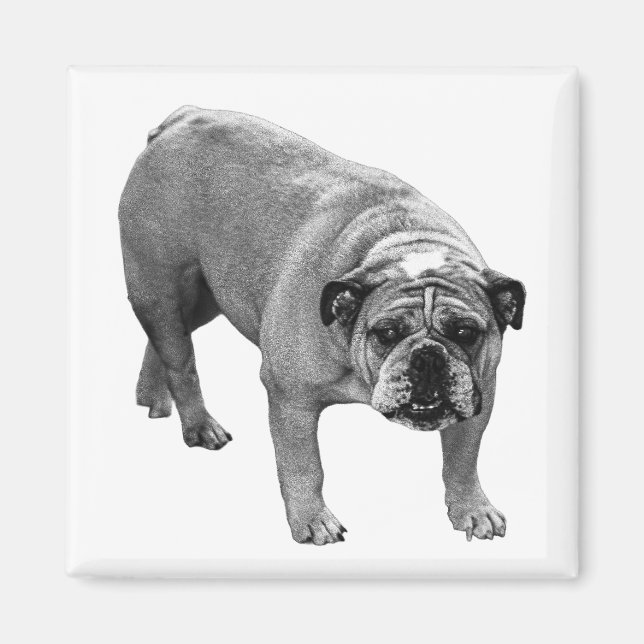 Fridge List Bulldog Magnet (Front)