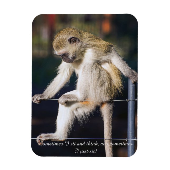 Fridge Magnet with Monkey and Slogan (Vertical)
