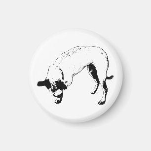 Fridge Peek Terrier Magnet