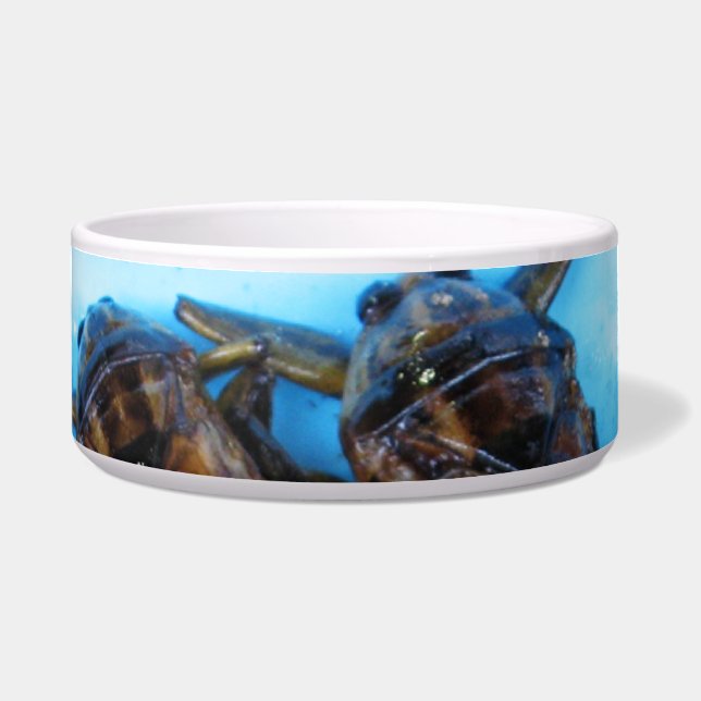 Fried Giant Water Bug (Maeng Daa) ... Asian Food (Front)