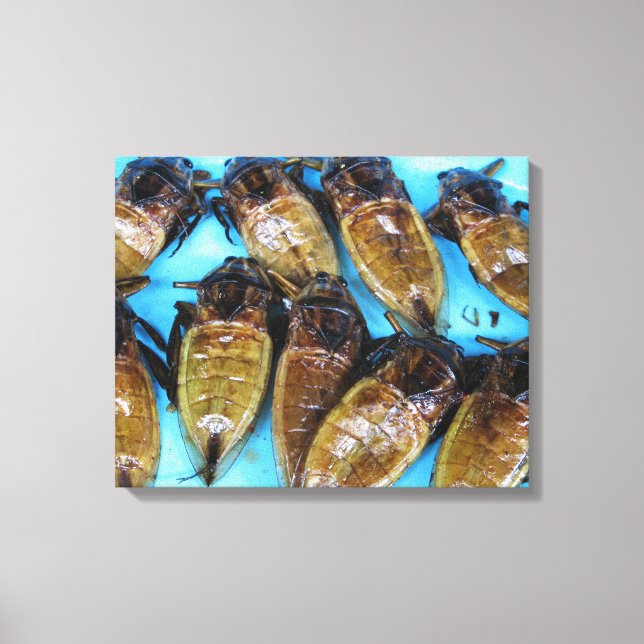 Fried Giant Water Bug (Maeng Daa) ... Asian Food Canvas Print (Front)