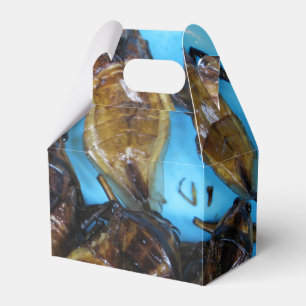 Fried Giant Water Bug (Maeng Daa) ... Asian Food Favour Box