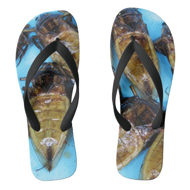 Fried Giant Water Bug (Maeng Daa) ... Asian Food Jandals (Footbed)