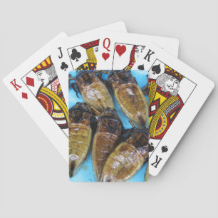 Fried Giant Water Bug (Maeng Daa) ... Asian Food Playing Cards