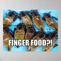 Fried Giant Water Bug (Maeng Daa) ... Asian Food