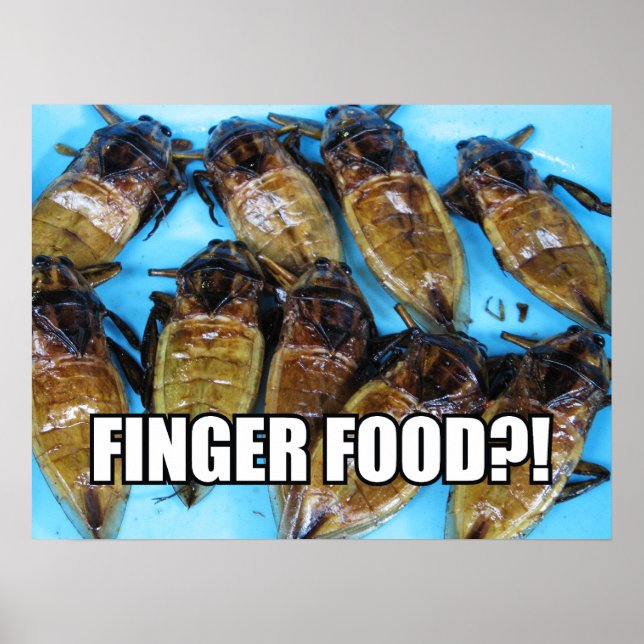 Fried Giant Water Bug (Maeng Daa) ... Asian Food Poster (Front)