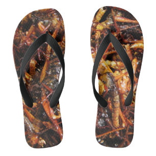 Fried Grasshopper (Takkataen Thot) Asian Food Jandals