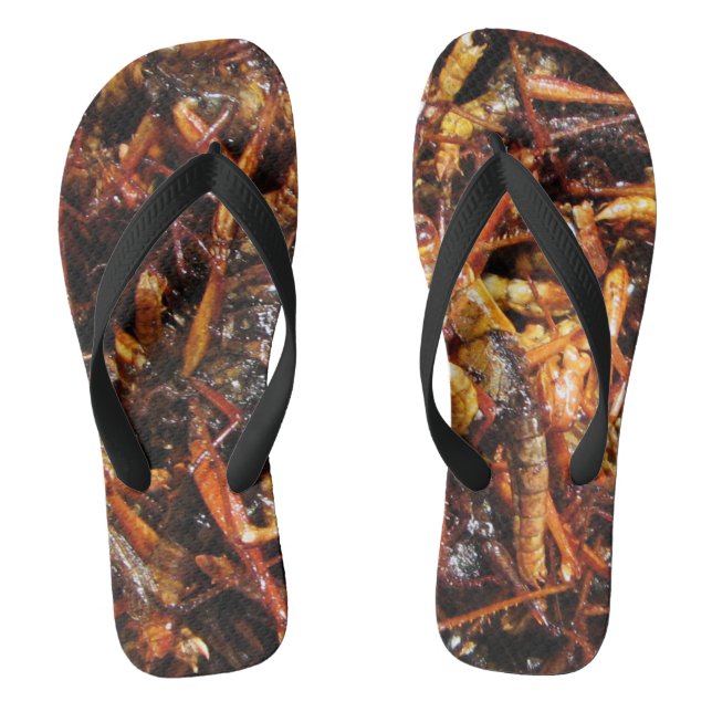 Fried Grasshopper (Takkataen Thot) Asian Food Jandals (Footbed)