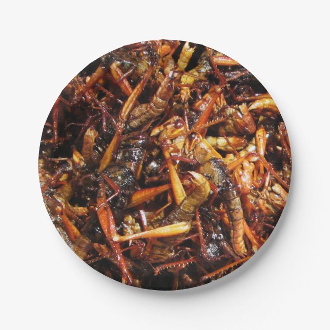 Fried Grasshopper (Takkataen Thot) Asian Food Paper Plate (Front)