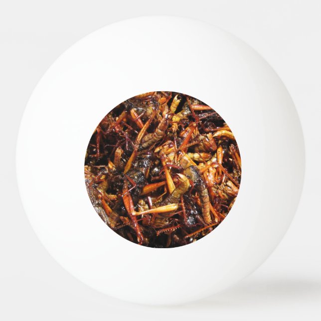 Fried Grasshopper (Takkataen Thot) Asian Food Ping Pong Ball (Front)