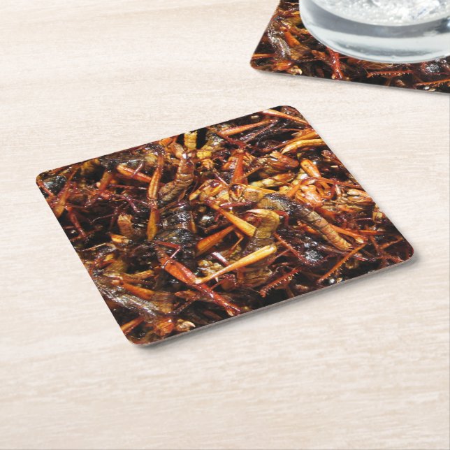 Fried Grasshopper (Takkataen Thot) Asian Food Square Paper Coaster (Angled)