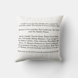 Fried Salt It's From the Desert Denton Texas Outdo Cushion
