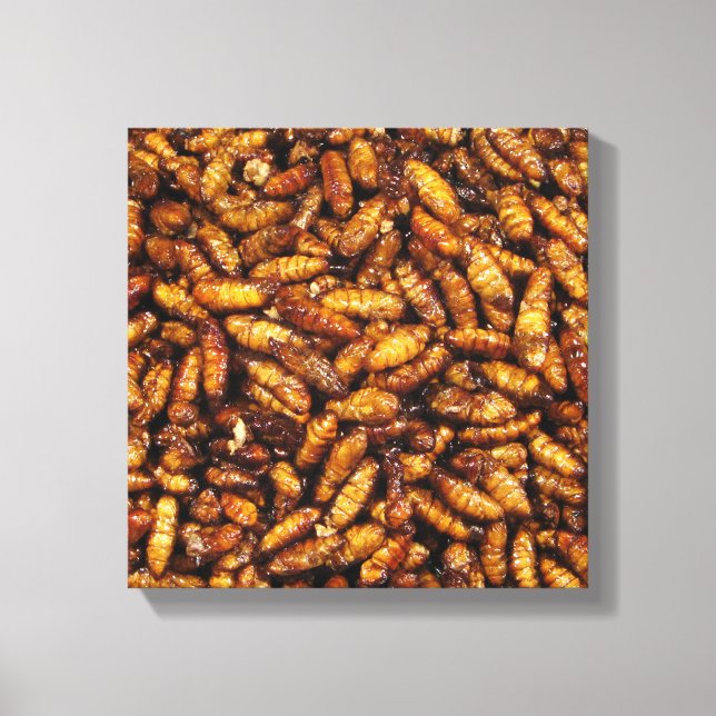 Fried Silk Worms ... Thai Street Food Canvas Print (Front)