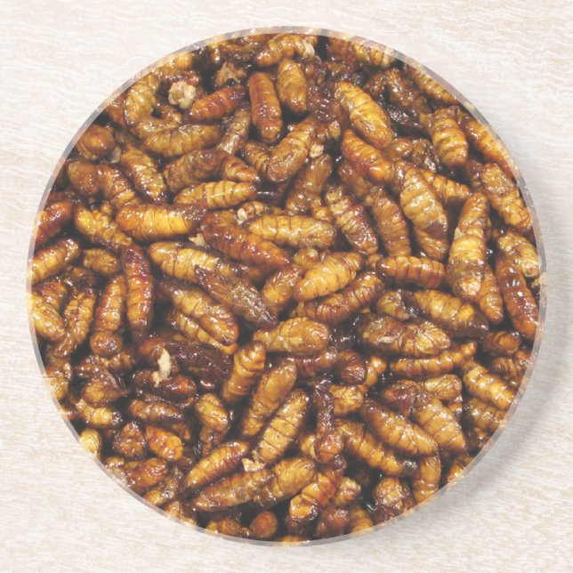 Fried Silk Worms ... Thai Street Food Coaster (Front)