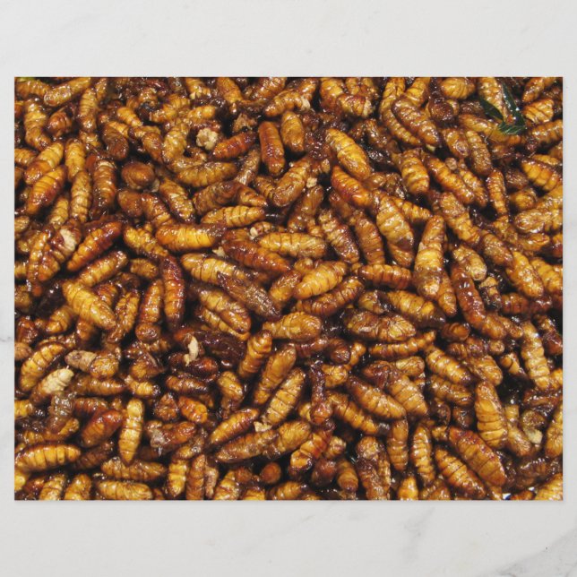 Fried Silk Worms ... Thai Street Food Flyer (Front)