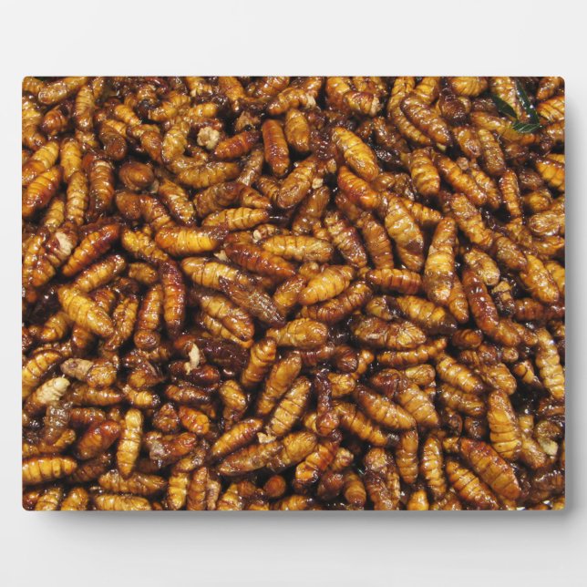 Fried Silk Worms ... Thai Street Food Plaque (Front)