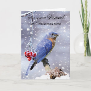 Friend Bluebird In The Snow Winter Holiday Card