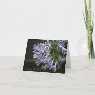 Friend Happy Birthday Blue Agapanthus Card