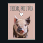 "Friend, not food" pink with cute piglet vegan Postcard<br><div class="desc">Friend,  not food Vegan pink postcard with cute black and pink piglet.
Animals are our friends,  make the connection</div>