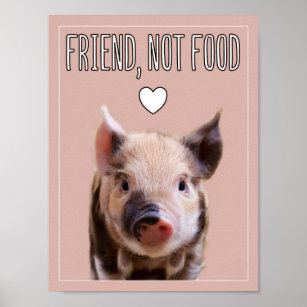 "Friend, not food" with cute piglet vegan Poster