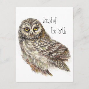 Friend of the Earth, Earth Day Owl, Bird Postcard