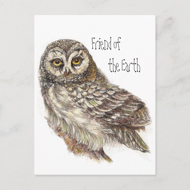 Friend of the Earth, Earth Day Owl, Bird Postcard (Front)