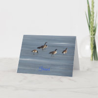 Friend, Stroll Down Memory Lane, Geese