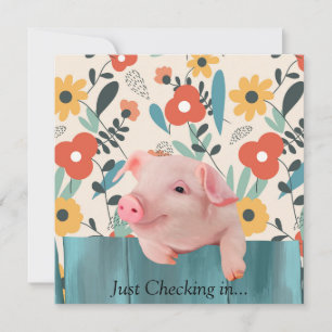 Friendly Baby Pig Cute Baby Animal