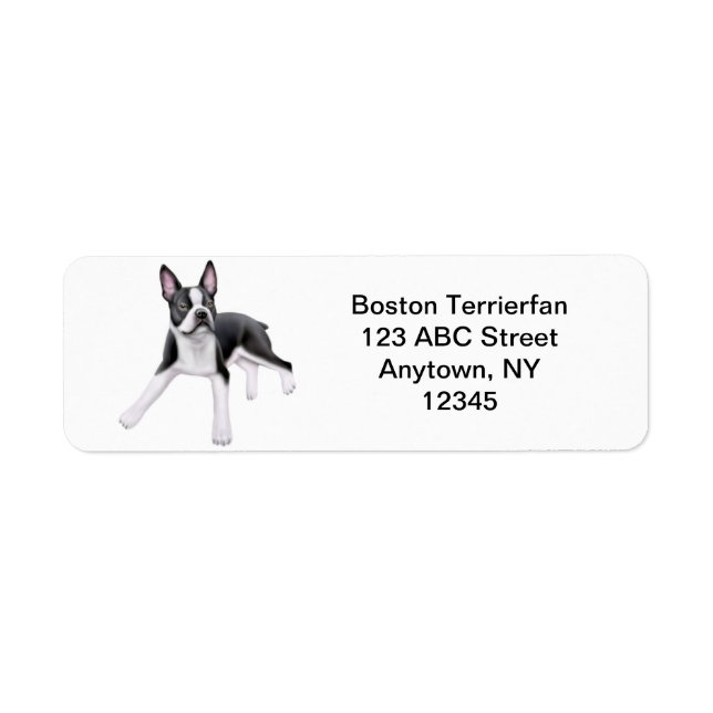 Friendly Boston Terrier Customisable (Front)