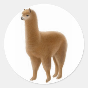 Friendly Brown Alpaca Sticker