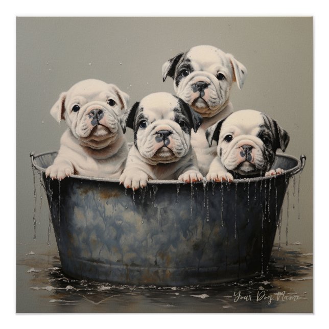 Friendly Bulldog Puppy Dogs  001 - Raimon Paladino Poster (Front)