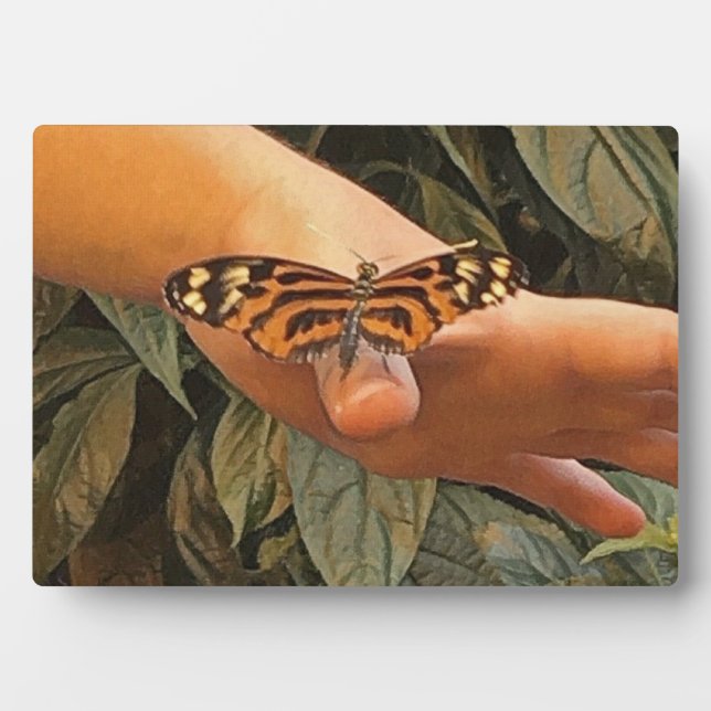 Friendly Butterfly Plaque (Front)